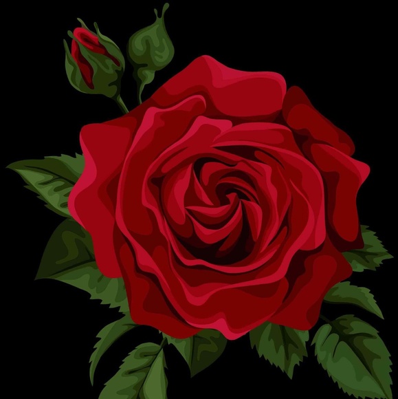 Meet your Posher, Karen - Picture 1 of 3